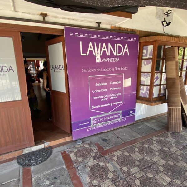 Lavanda Lavandería Curicó
