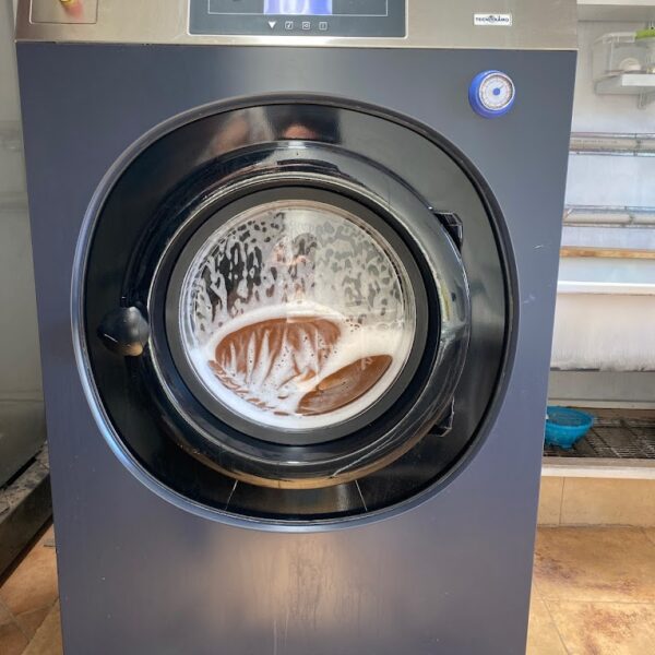 Lavanda Lavandería Curicó